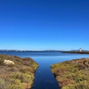 Sète 🌊 (3/3) avec un détour par Marseillan 🌞